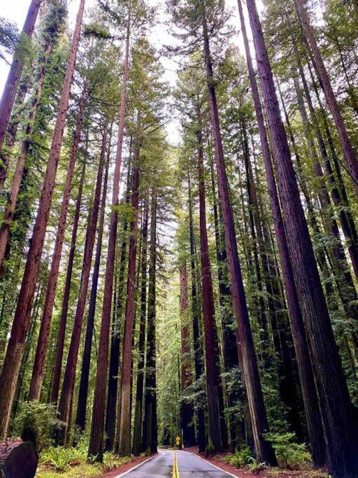 Avenue Of The Giants Pepperwood Place Miranda ภายนอก รูปภาพ