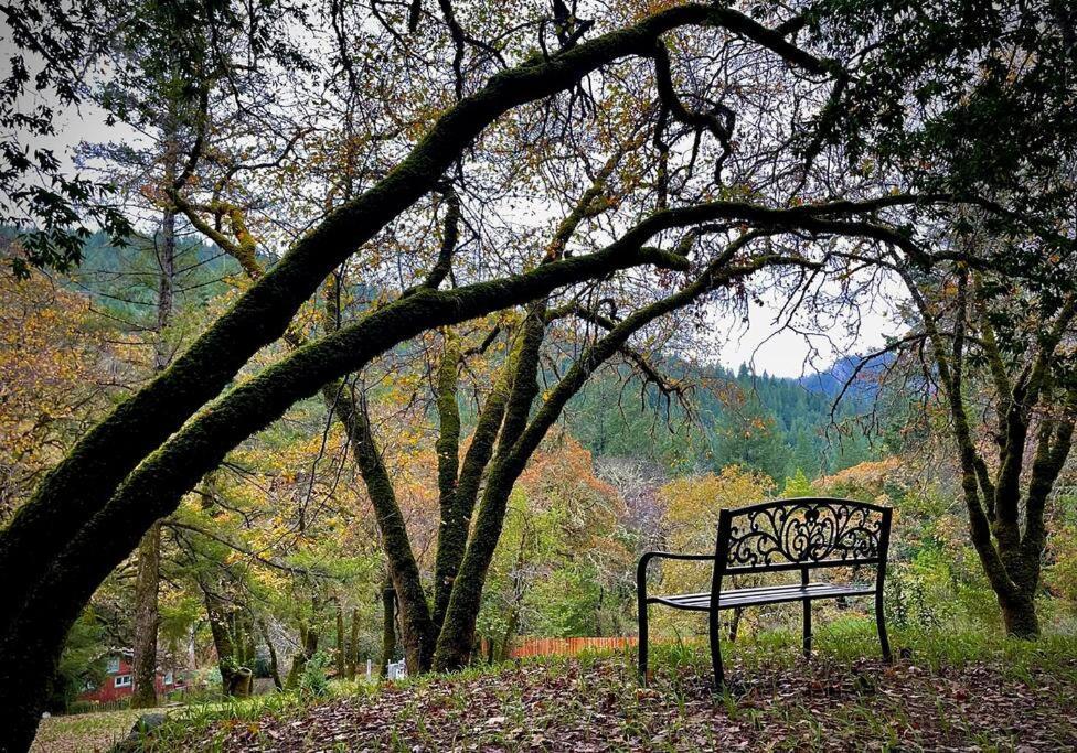 Avenue Of The Giants Pepperwood Place Miranda ภายนอก รูปภาพ